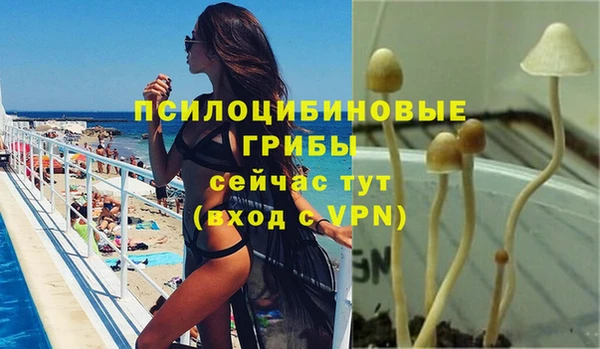 a pvp Алексеевка